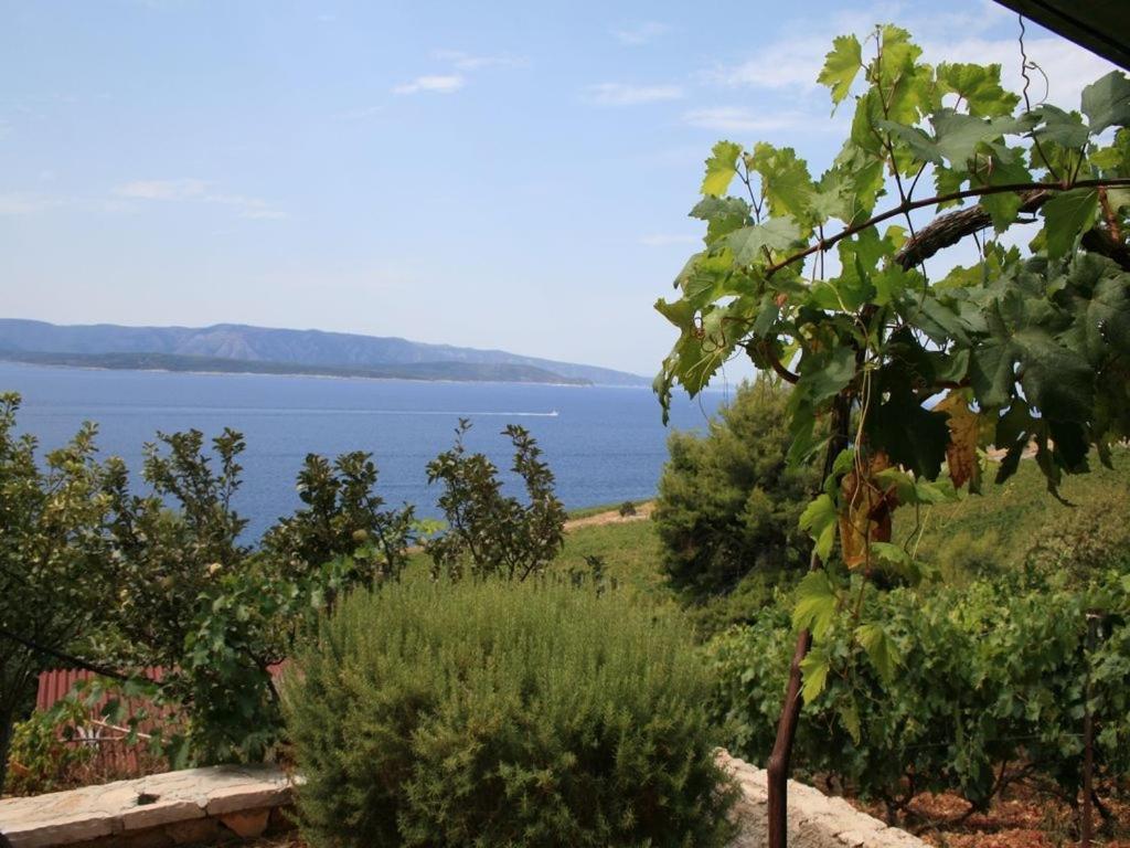 Vineyard Cottages - Murvica Exterior foto