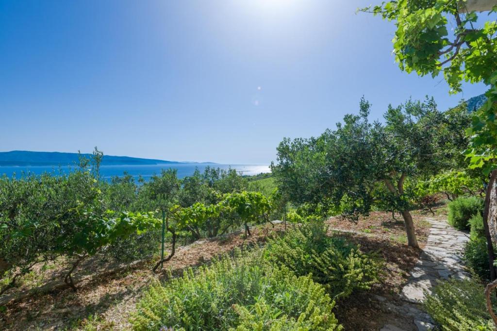 Vineyard Cottages - Murvica Exterior foto